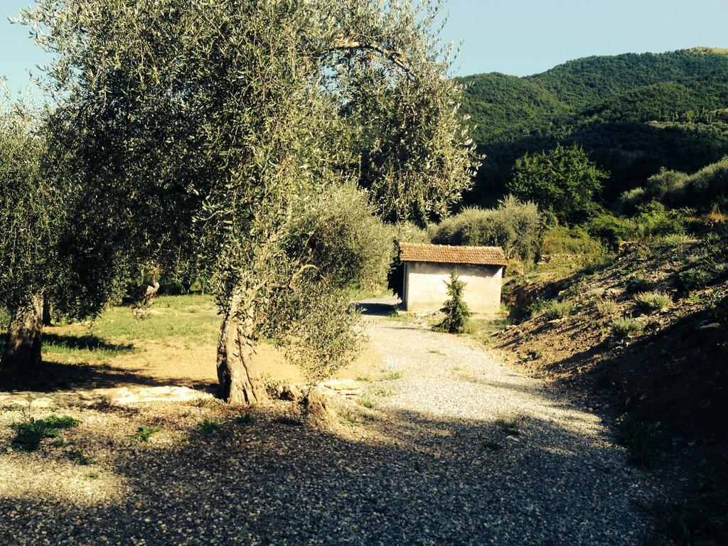 Casa Vacanze Gli Ulivi Villa Borgomaro Habitación foto