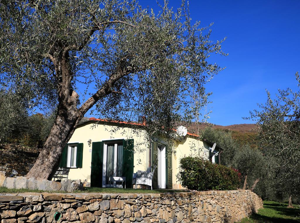 Casa Vacanze Gli Ulivi Villa Borgomaro Exterior foto